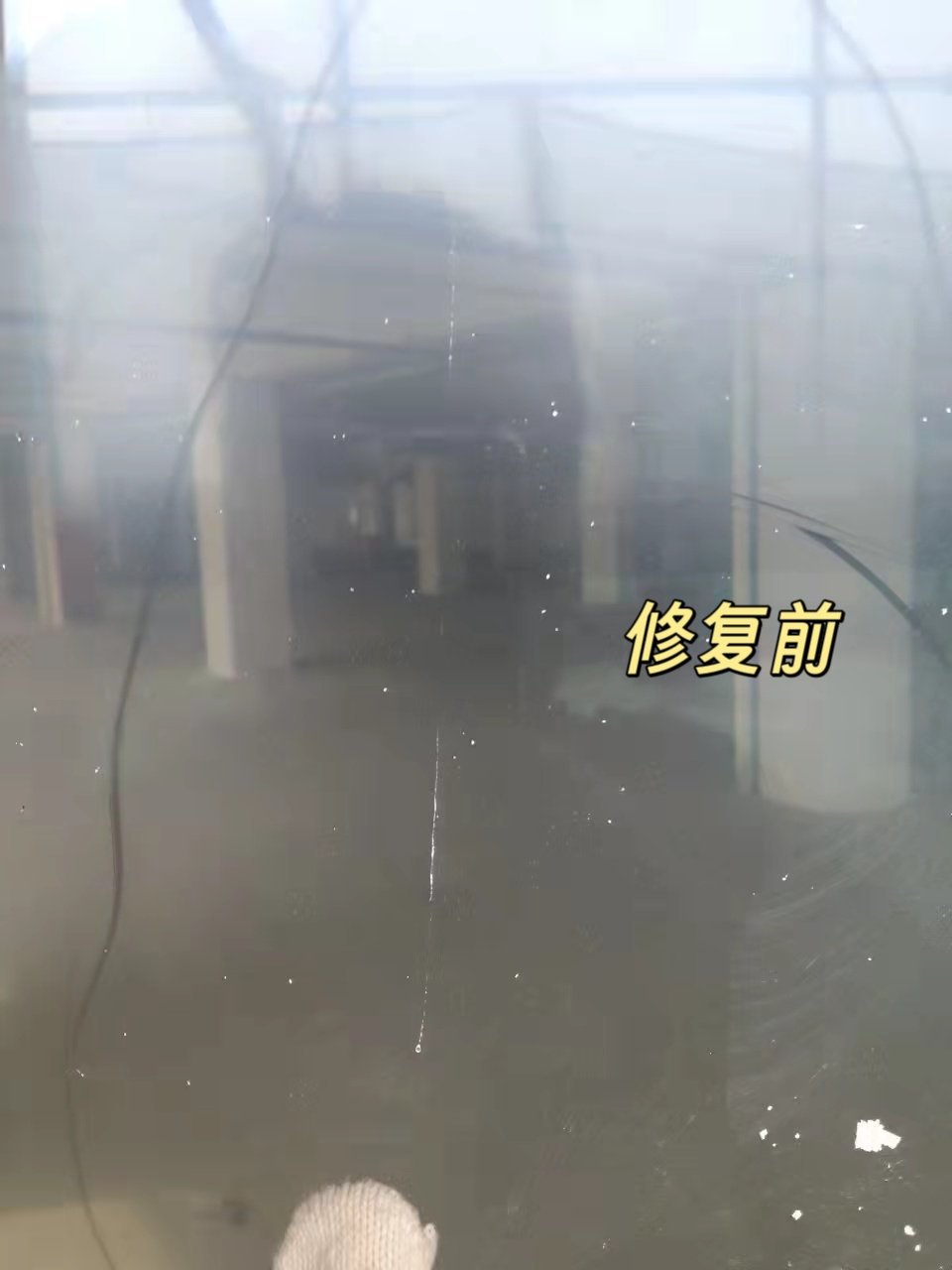 MEITU_20250420_195415063.jpg